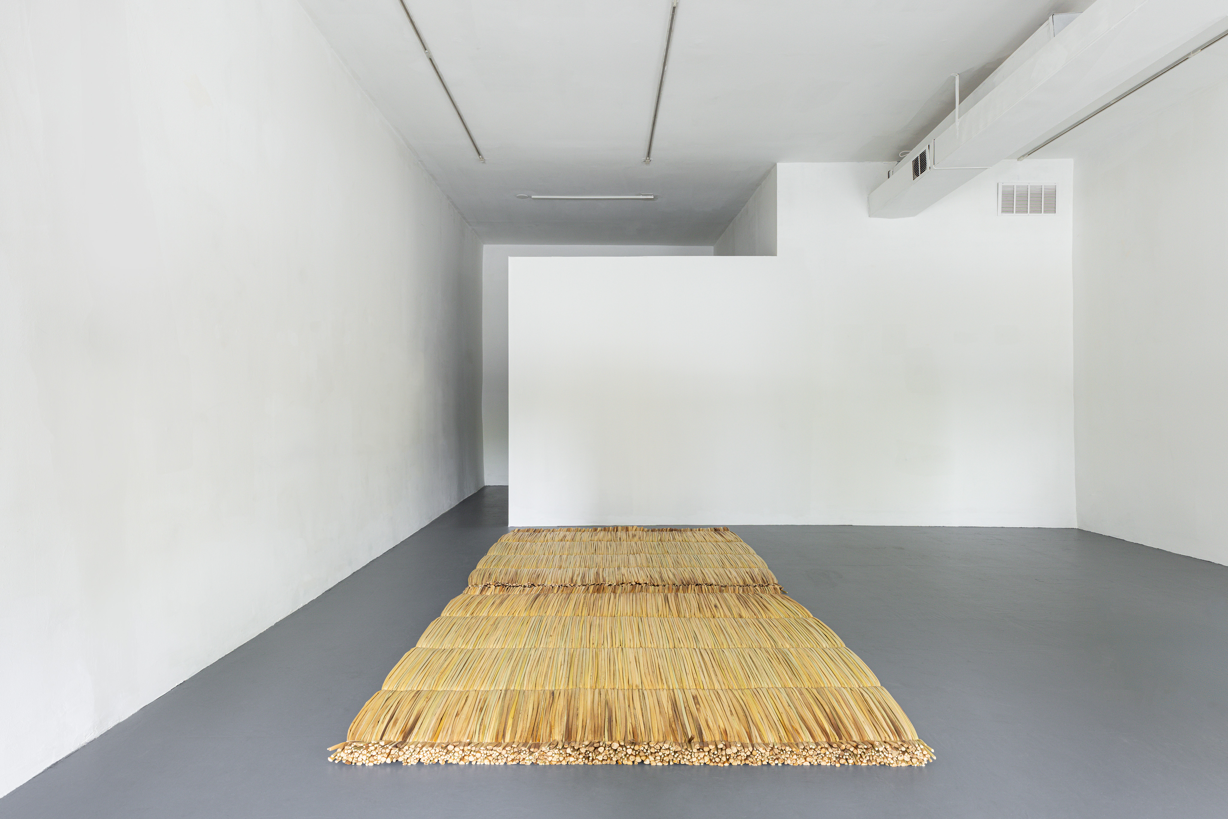 Installation view of Pochtecayotl
