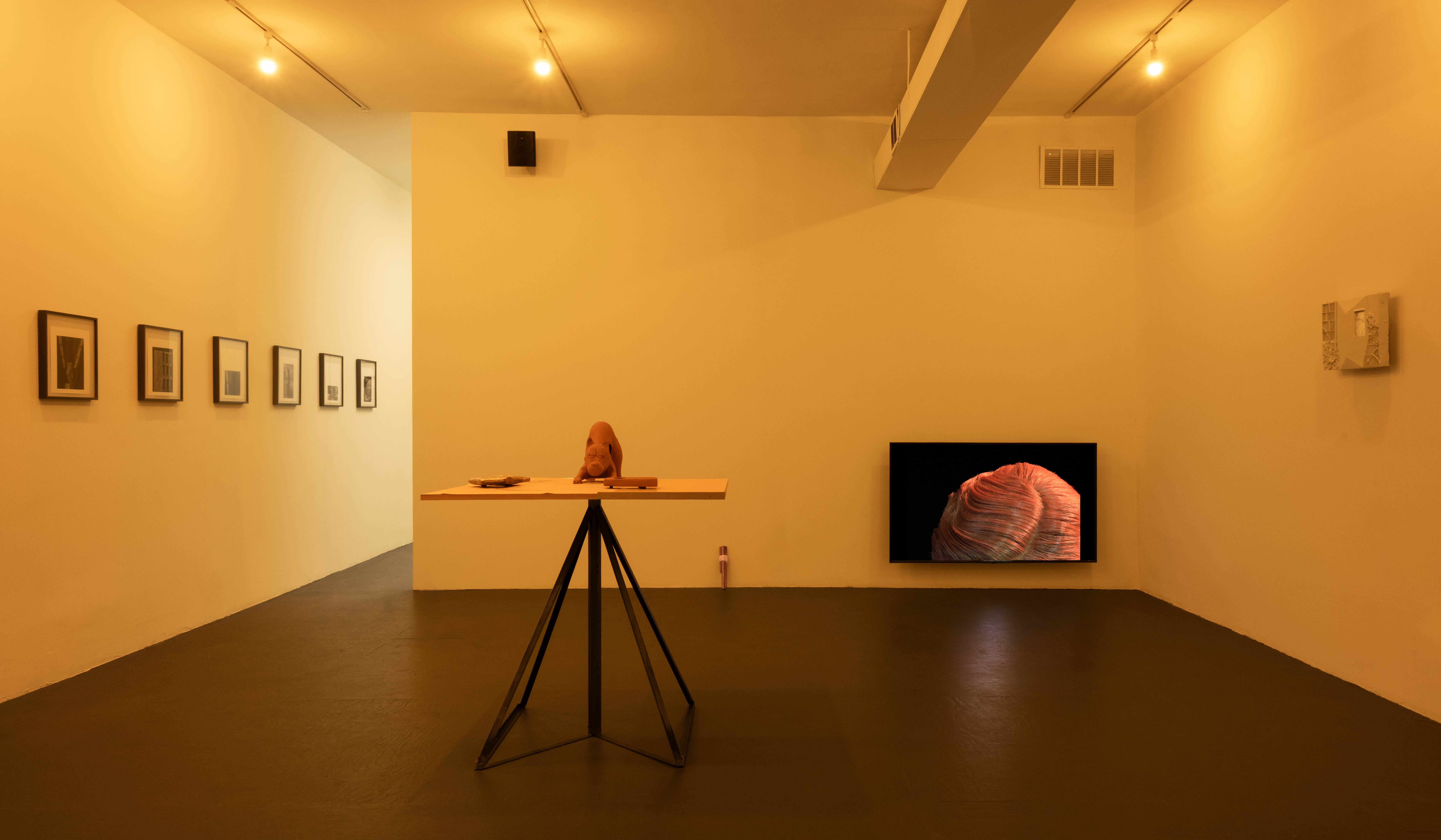 Installation view of Permission Structures and Decorative Art