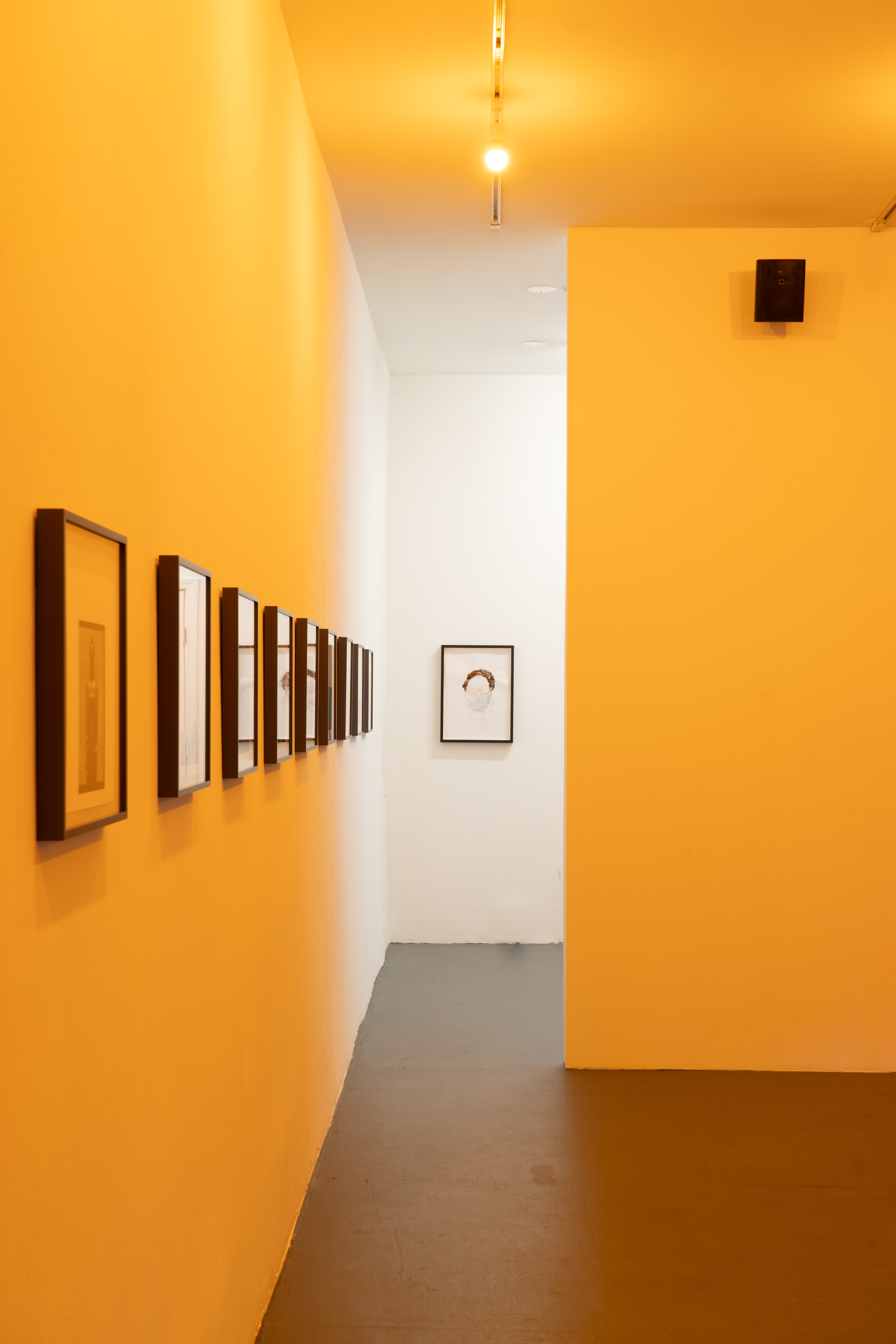 Installation view of Permission Structures and Decorative Art