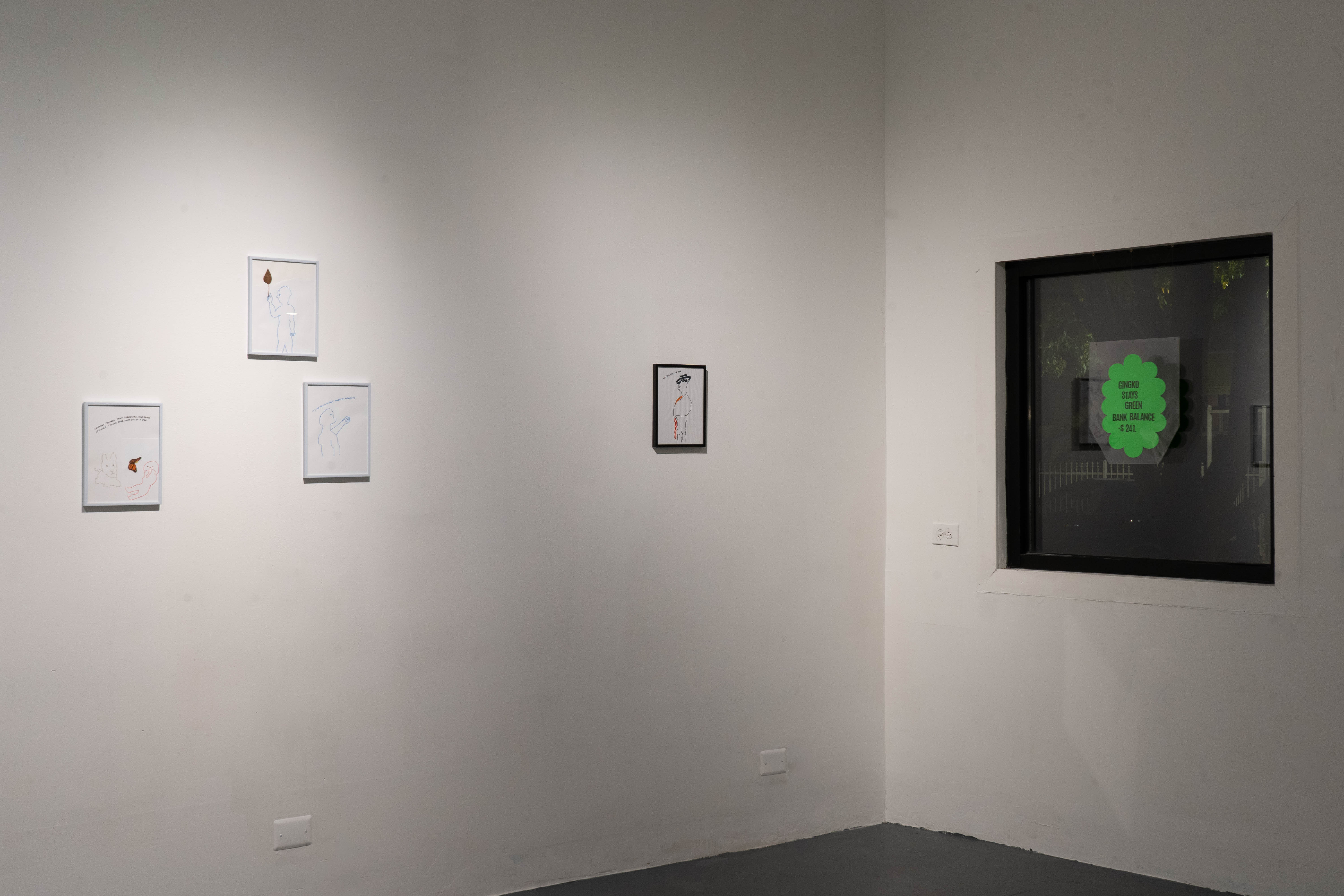 installation view